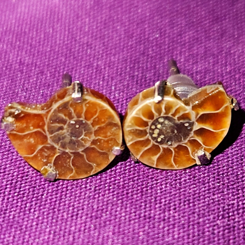 Authentic Ammonite Earrings (Studs)